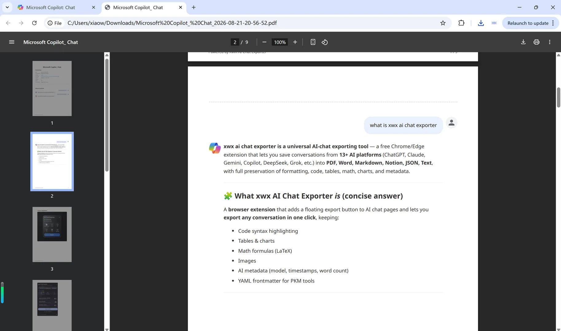 The exported Copilot conversation opened as a multi-page PDF with a metadata header and preserved formatting
