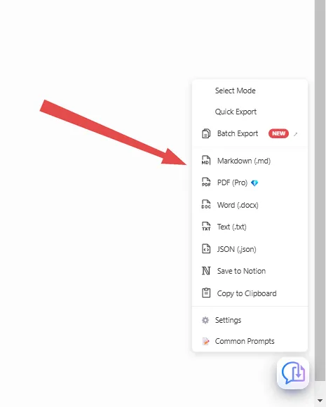 Screenshot 2: The export format menu — PDF, Word, Markdown, JSON, Notion, Clipboard